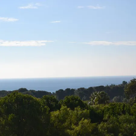 Sweet Estrela Do Vau * 포티마오