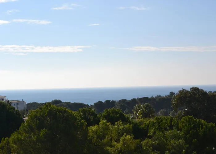 Sweet Estrela Do Vau * 포티마오